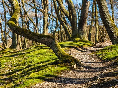 无需重启生效的免费ddos防火墙